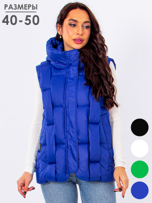  Женская Жилет женский зимний Visdeer - Цвет Ярко-синий от интернет-магазина женской одежды МегаТренд. Жилет женский зимний Visdeer - Цвет Ярко-синий лучшего качества, эксклюзивные предложения и акции, доставка во все регионы России